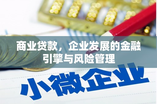 滴道商业贷款，企业发展的金融引擎与风险管理