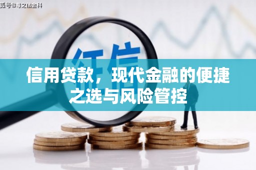滴道信用贷款，现代金融的便捷之选与风险管控