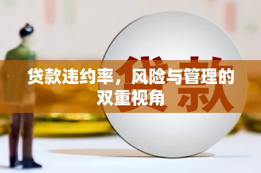 滴道贷款违约率，风险与管理的双重视角