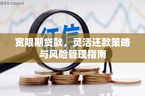 滴道宽限期贷款，灵活还款策略与风险管理指南