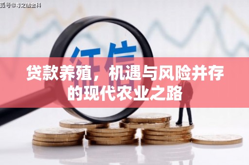 滴道贷款养殖，机遇与风险并存的现代农业之路