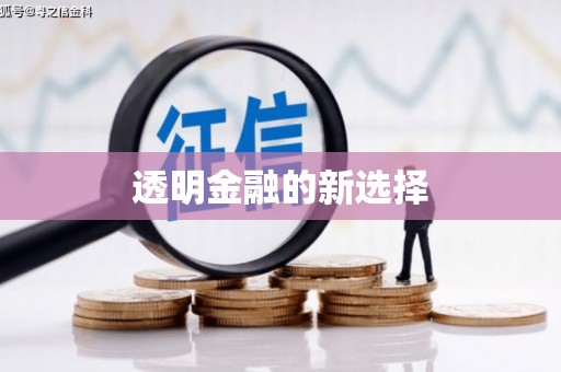 滴道透明金融的新选择