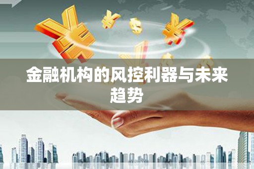滴道金融机构的风控利器与未来趋势