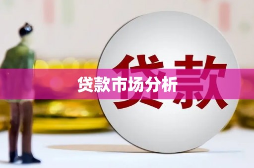 滴道贷款市场分析