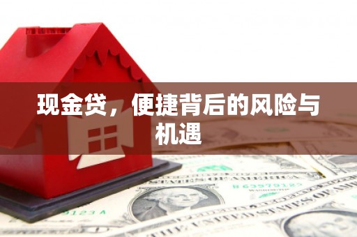 滴道现金贷，便捷背后的风险与机遇