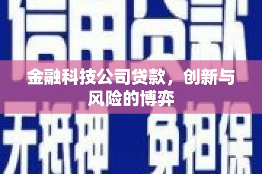 滴道金融科技公司贷款，创新与风险的博弈