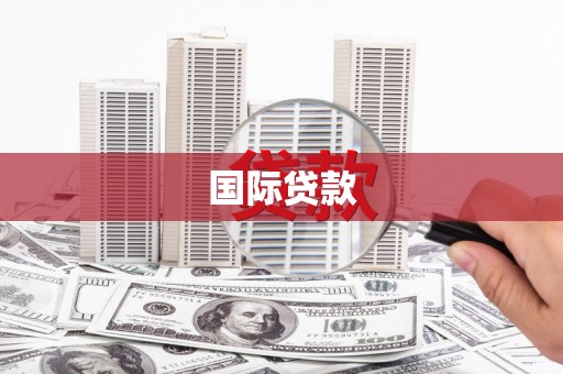 滴道国际贷款