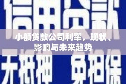 滴道小额贷款公司利率，现状、影响与未来趋势