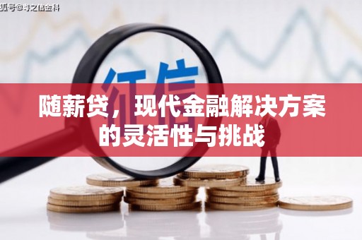 滴道随薪贷，现代金融解决方案的灵活性与挑战