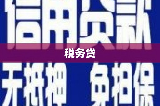 滴道税务贷