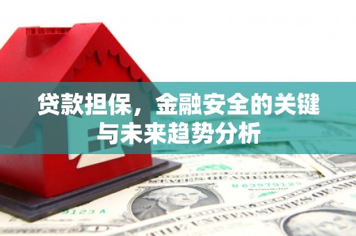 滴道贷款担保，金融安全的关键与未来趋势分析