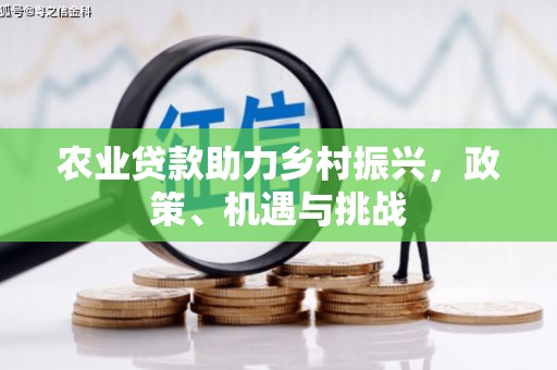 滴道农业贷款助力乡村振兴，政策、机遇与挑战