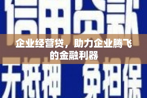 滴道企业经营贷，助力企业腾飞的金融利器