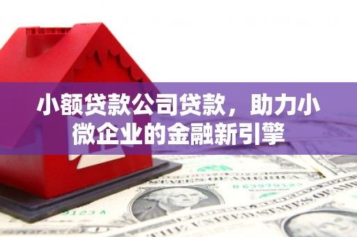 滴道小额贷款公司贷款，助力小微企业的金融新引擎