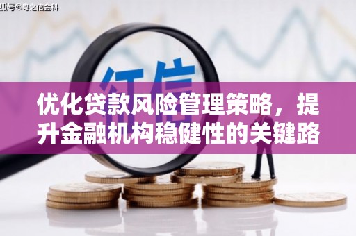 滴道优化贷款风险管理策略，提升金融机构稳健性的关键路径