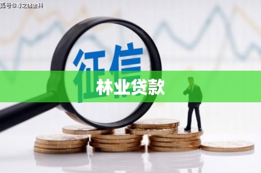 滴道林业贷款