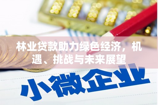 滴道林业贷款助力绿色经济，机遇、挑战与未来展望
