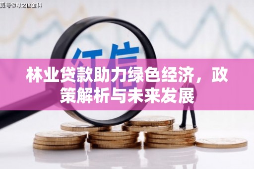 滴道林业贷款助力绿色经济，政策解析与未来发展
