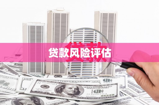 滴道贷款风险评估