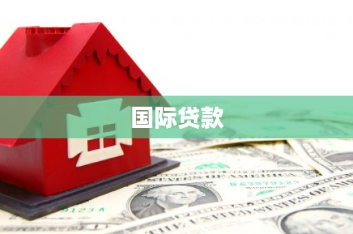 滴道国际贷款