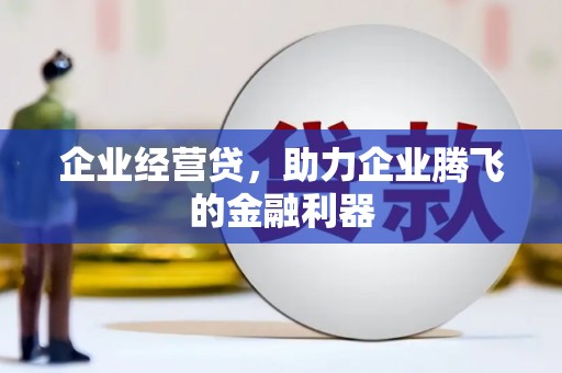 滴道企业经营贷，助力企业腾飞的金融利器