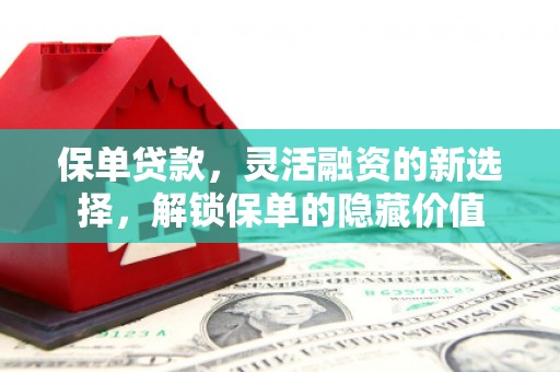 滴道保单贷款，灵活融资的新选择，解锁保单的隐藏价值
