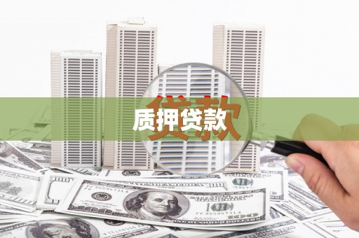 滴道质押贷款