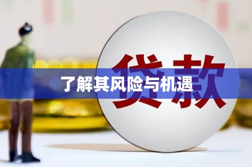 滴道了解其风险与机遇