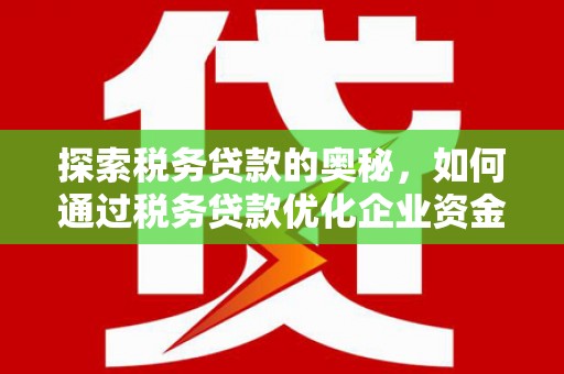 滴道探索税务贷款的奥秘，如何通过税务贷款优化企业资金流