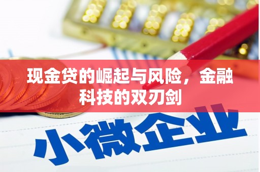 滴道现金贷的崛起与风险，金融科技的双刃剑