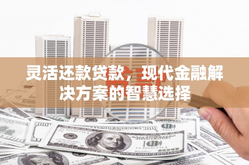 滴道灵活还款贷款，现代金融解决方案的智慧选择
