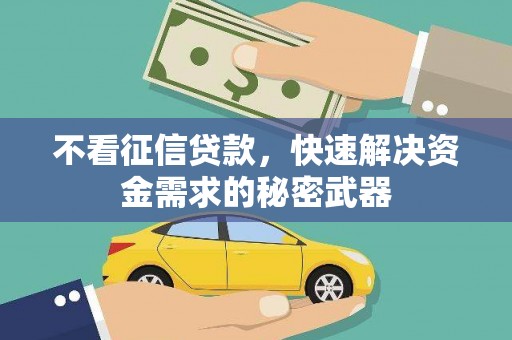 滴道不看征信贷款，快速解决资金需求的秘密武器
