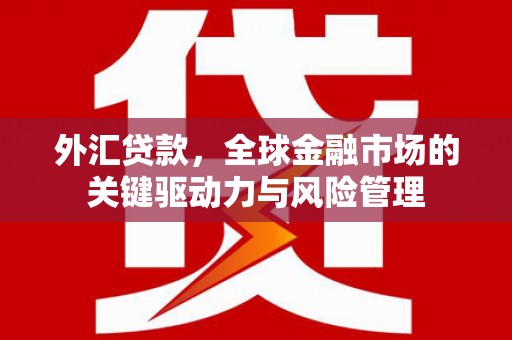 滴道外汇贷款，全球金融市场的关键驱动力与风险管理