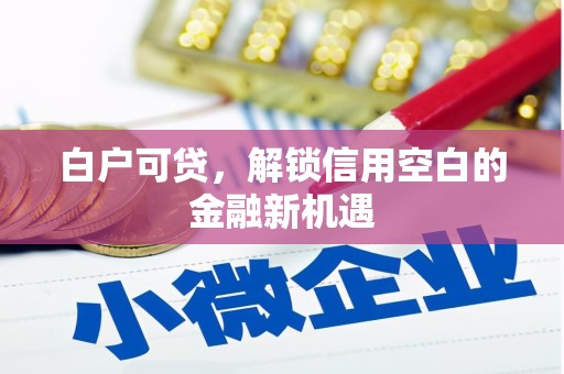 滴道白户可贷，解锁信用空白的金融新机遇