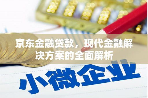 滴道京东金融贷款，现代金融解决方案的全面解析