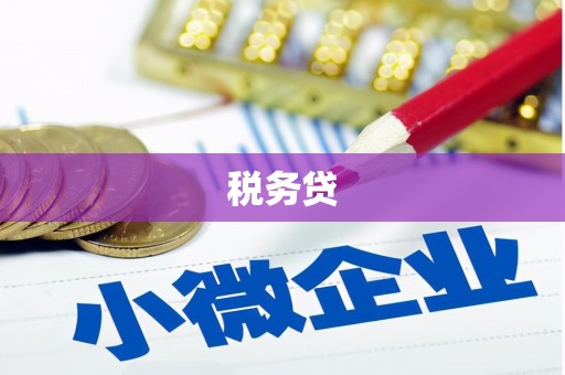 滴道税务贷