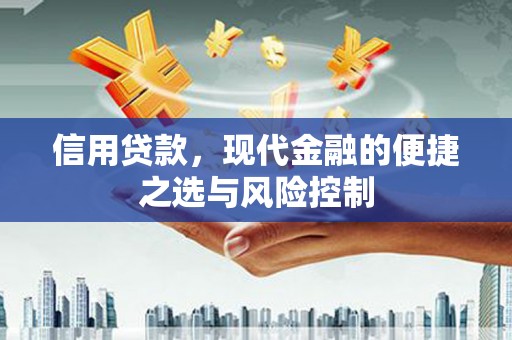 滴道信用贷款，现代金融的便捷之选与风险控制