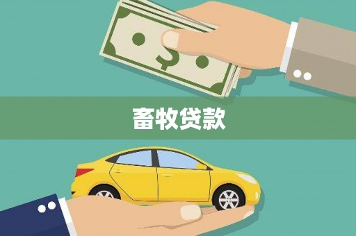 滴道畜牧贷款