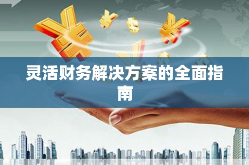 滴道灵活财务解决方案的全面指南