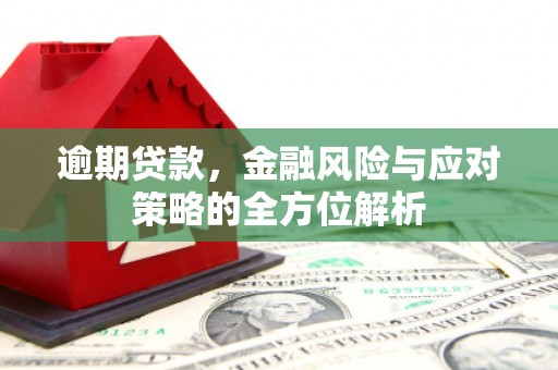 滴道逾期贷款，金融风险与应对策略的全方位解析
