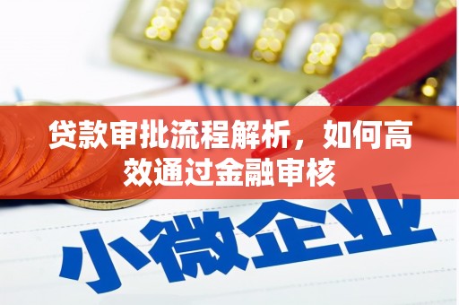 滴道贷款审批流程解析，如何高效通过金融审核