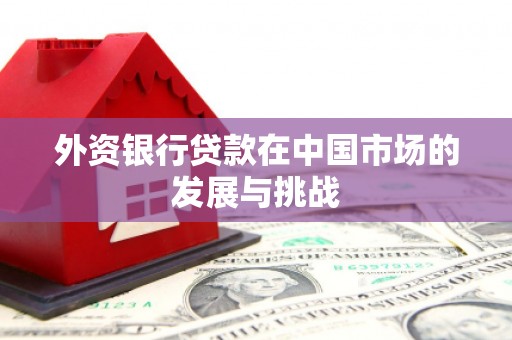 滴道外资银行贷款在中国市场的发展与挑战