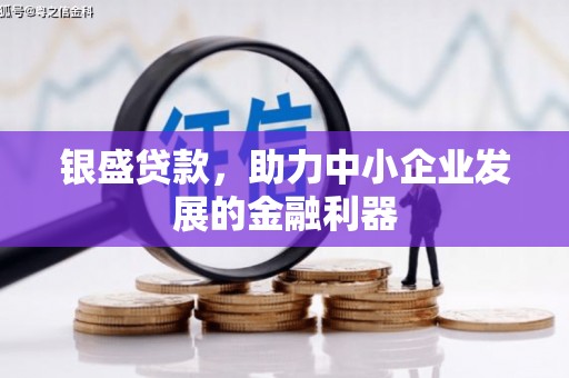 滴道银盛贷款，助力中小企业发展的金融利器