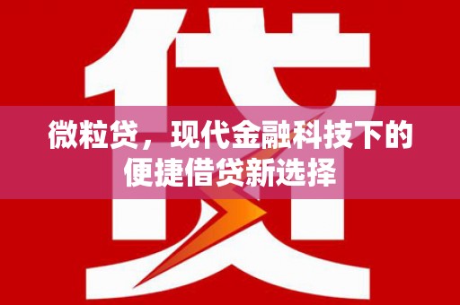 滴道微粒贷，现代金融科技下的便捷借贷新选择