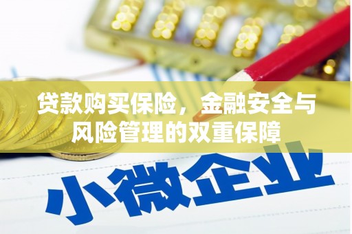 滴道贷款购买保险，金融安全与风险管理的双重保障
