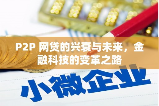 滴道P2P 网贷的兴衰与未来，金融科技的变革之路