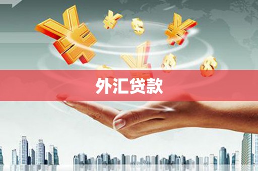 滴道外汇贷款