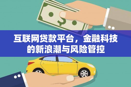 滴道互联网贷款平台，金融科技的新浪潮与风险管控