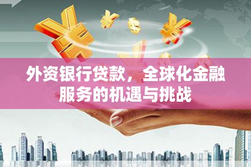滴道外资银行贷款，全球化金融服务的机遇与挑战