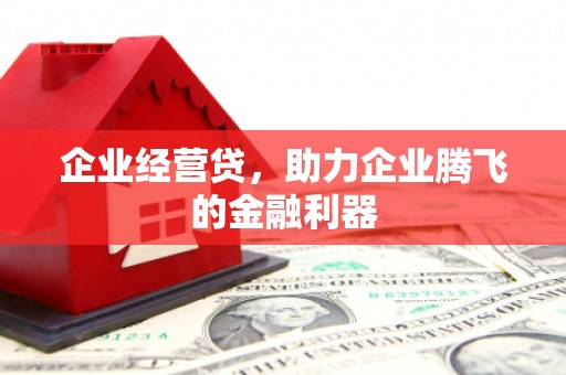 滴道企业经营贷，助力企业腾飞的金融利器